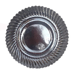 Disposable Plate 9 inch Round Silver Plates  (Pack of 30)